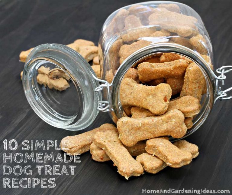 10 Simple Homemade Dog Treat Recipes Home and Gardening