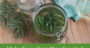 Make Your Own Pine Scented Vinegar For Cleaning