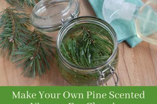Make Your Own Pine Scented Vinegar For Cleaning