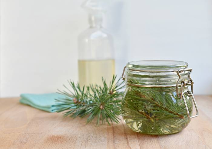 Pine Scented Vinegar