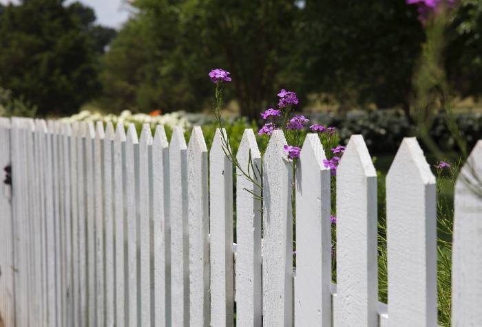 Surround your garden with a fence