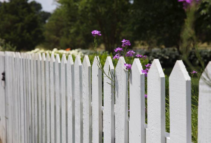 Surround your garden with a fence