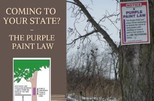 The Purple Paint Law