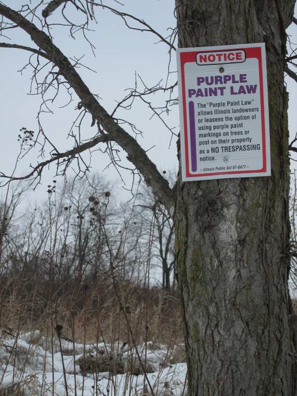 purple paint law