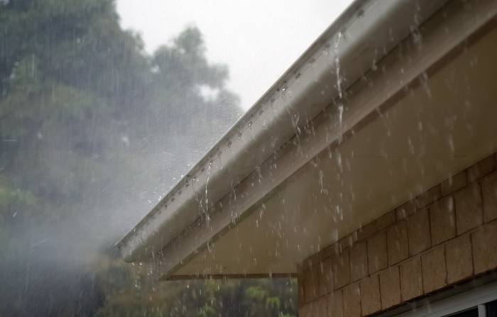 Add a leaf guard to your gutters