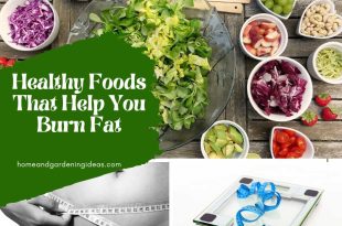 Healthy Foods That Help You Burn Fat