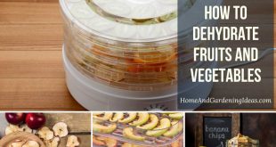 How to Dehydrate Fruits and Vegetables