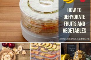 How to Dehydrate Fruits and Vegetables