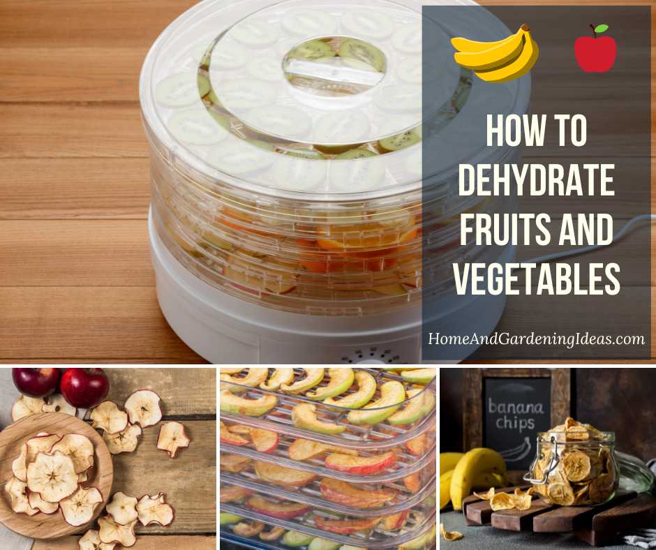 How to Dehydrate Fruits and Vegetables