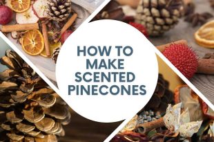 How to Make Scented Pinecones