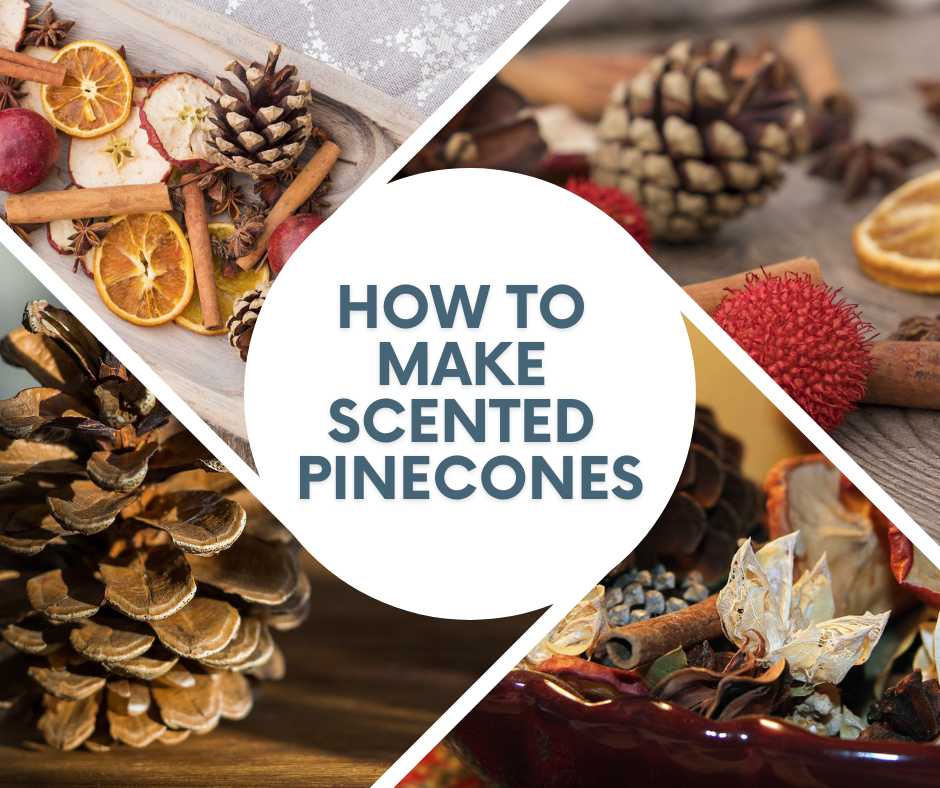 How to Make Scented Pinecones