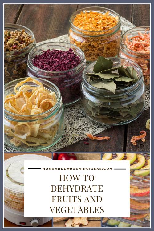 How to Dehydrate Fruits