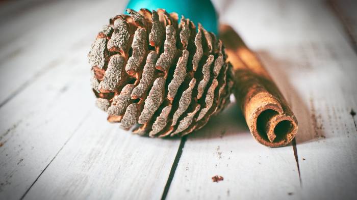 cinnamon pine cones