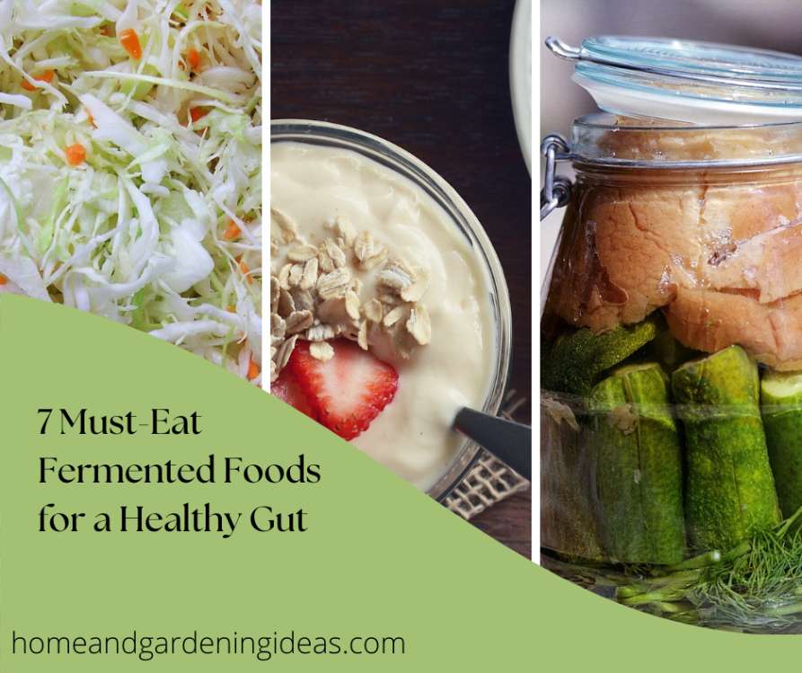 7 Must-Eat Fermented Foods for a Healthy Gut