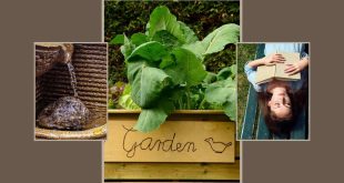 10 Easy DIY Projects to Spruce up Your Garden This Spring
