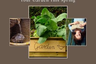 10 Easy DIY Projects to Spruce up Your Garden This Spring