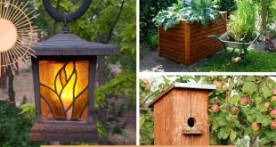 10 Quick and Easy Garden Upgrades You Can Do in a Weekend
