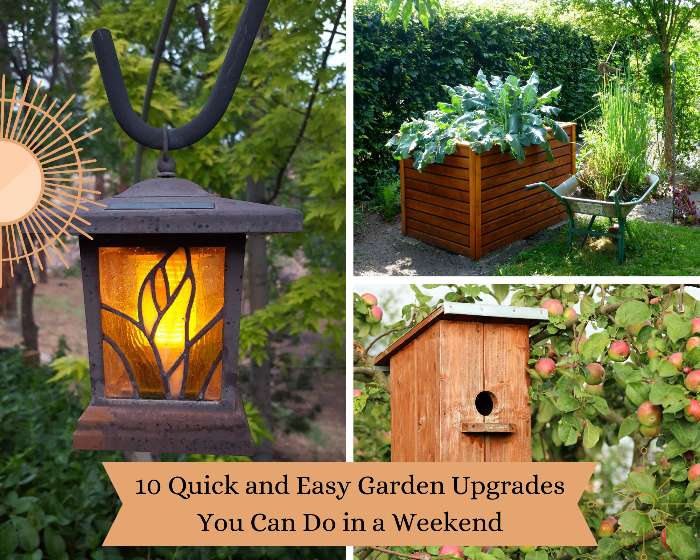 10 Quick and Easy Garden Upgrades You Can Do in a Weekend