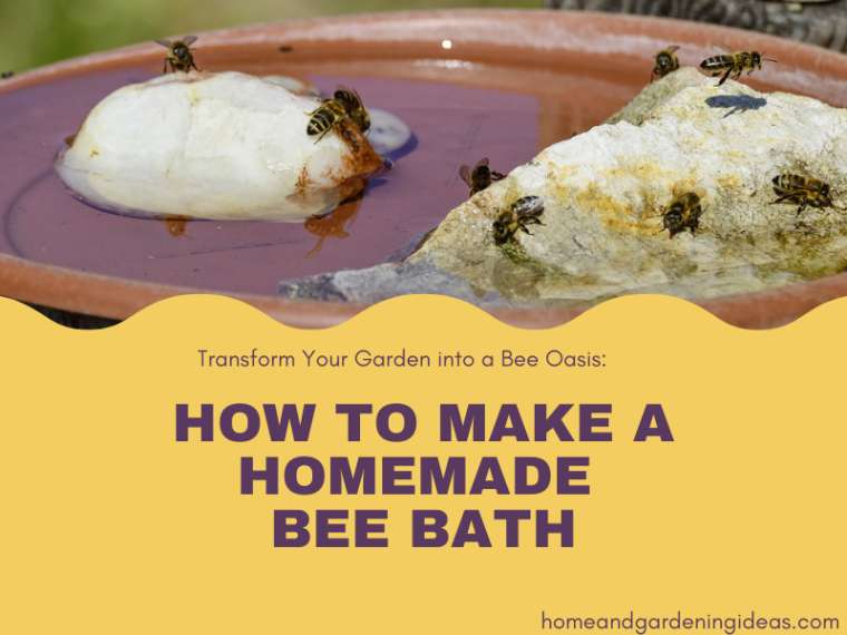 How to Make a Homemade Bee Bath
