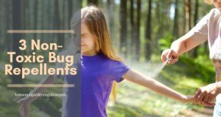 3 Non-Toxic Bug Repellents