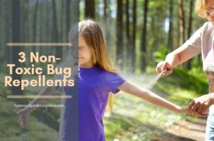 3 Non-Toxic Bug Repellents