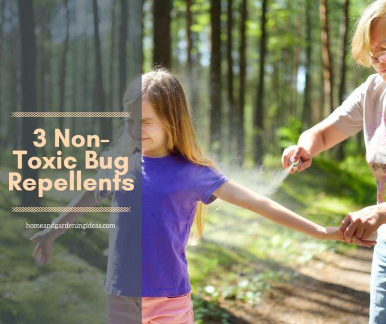 3 NonToxic Bug Repellents Home and Gardening Ideas