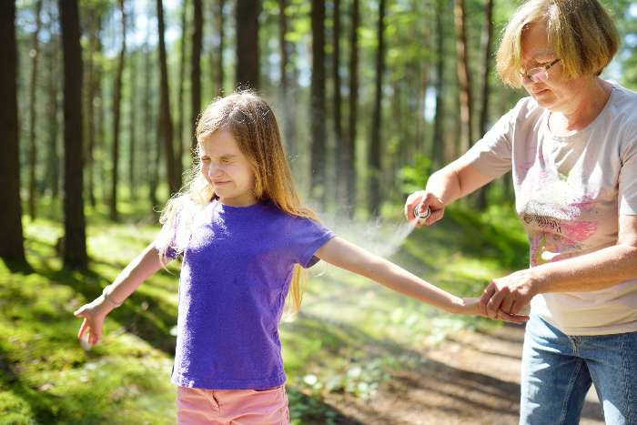 Essential Oil-Based Bug Repellent Spray