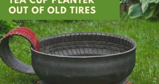 How to Make a Tea Cup Planter Out of Old Tires