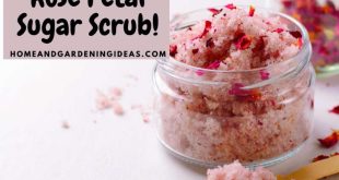 Homemade Rose Petal Sugar Scrub