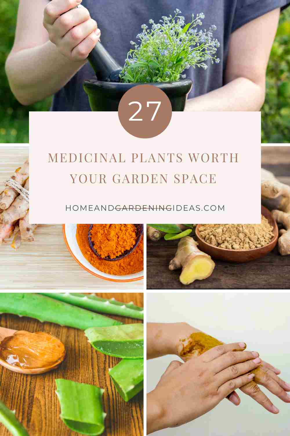 Medicinal Plants Worth Your Garden Space