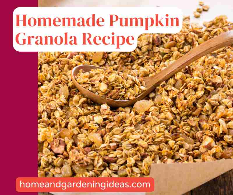 Homemade Pumpkin Granola Recipe
