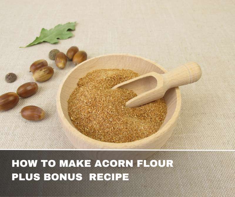How to Make Acorn Flour + Recipe