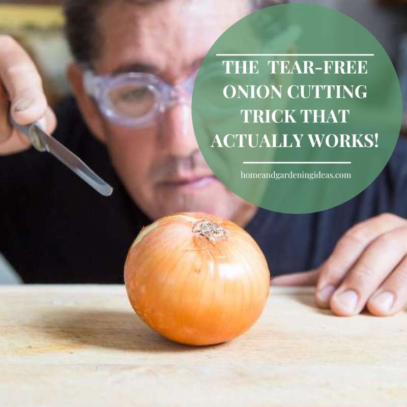 Onion-Cutting Hacks Unveiled