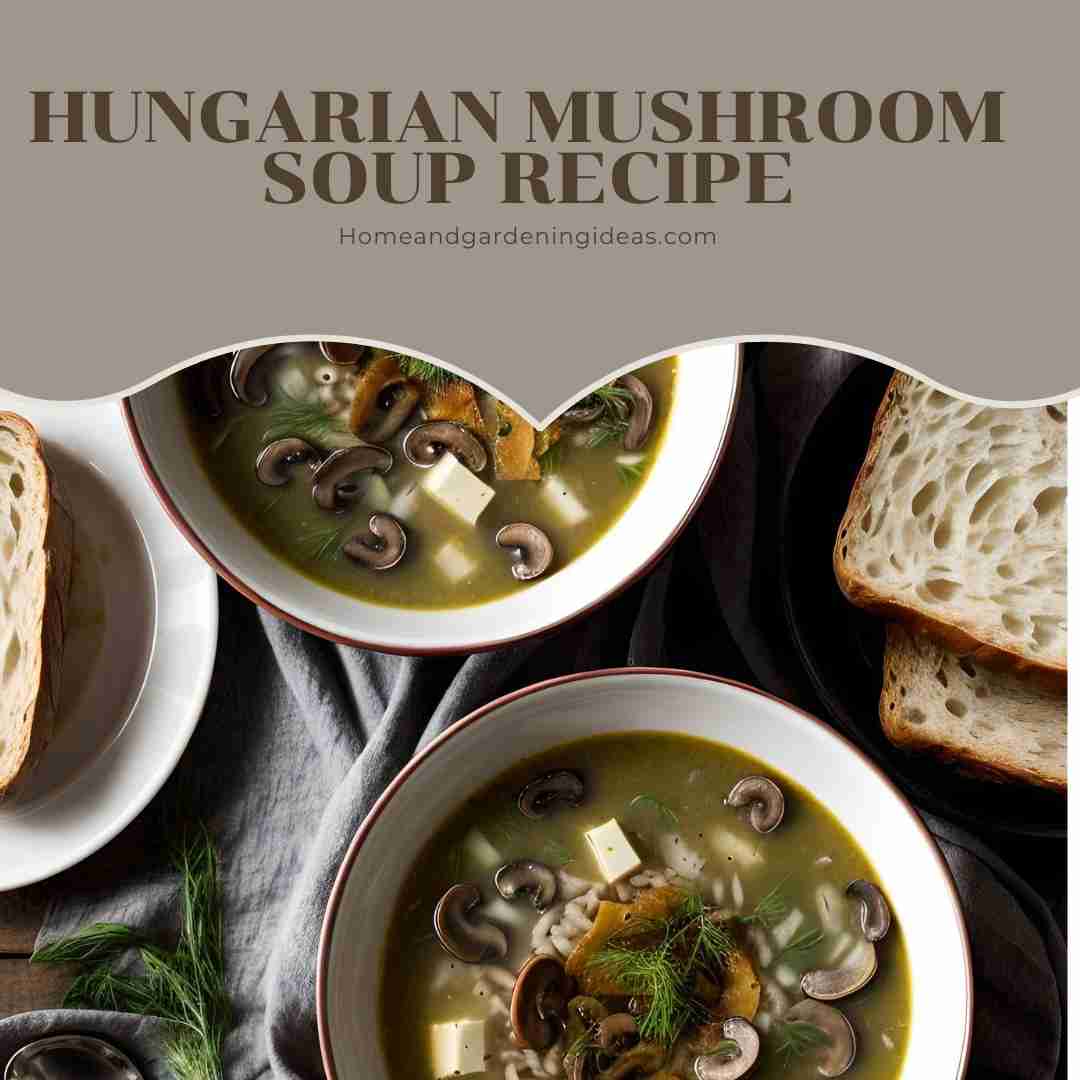 Hungarian Mushroom Soup Recipe