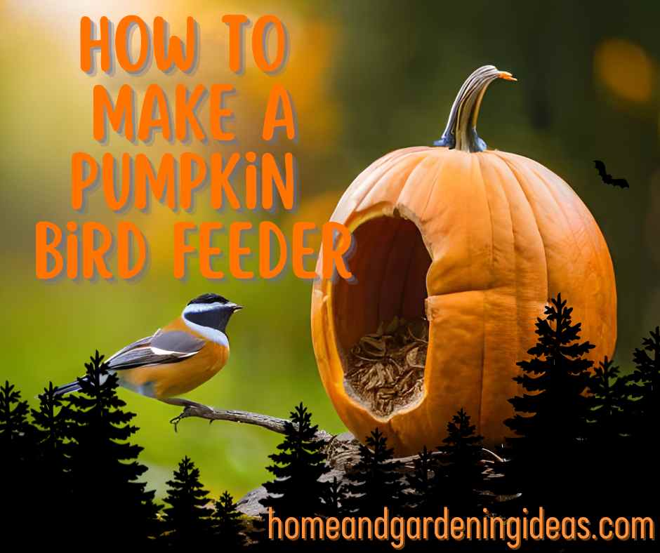 How to Make a Pumpkin Bird Feeder