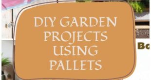 DIY Garden Projects Using Pallets