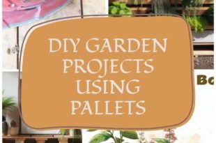 DIY Garden Projects Using Pallets