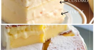3 Layer Magic Custard Cake