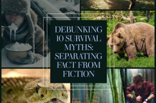 Debunking 10 Survival Myths: Separating Fact from Fiction