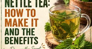 Stinging Nettle Tea: How to Make It and The Benefits