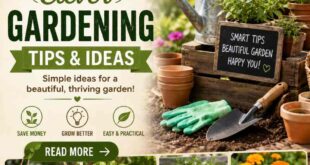 20 Clever Gardening Tips And Ideas
