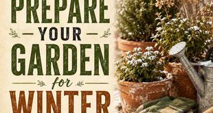 How To Prepare Your Garden for Winter