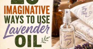 20 Imaginative Ways to Use Lavender Oil