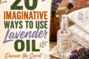 20 Imaginative Ways to Use Lavender Oil