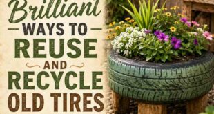 20 Brilliant Ways To Reuse And Recycle Old Tires