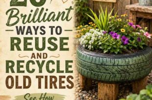 20 Brilliant Ways To Reuse And Recycle Old Tires