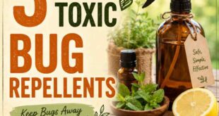 3 Non-Toxic Bug Repellents