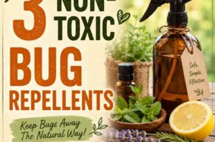 3 Non-Toxic Bug Repellents