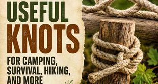 Five Useful Knots For Camping, Survival, Hiking, And More