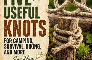 Five Useful Knots For Camping, Survival, Hiking, And More